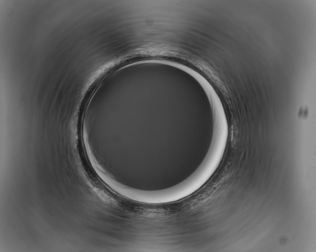 X0000099560438200806061543