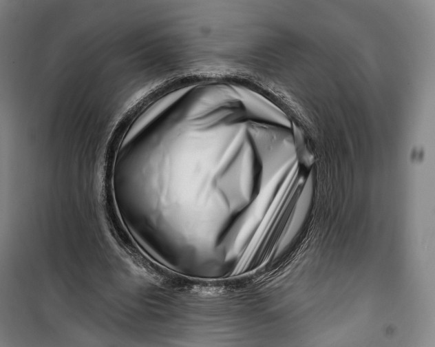 X0000099560440200806061543