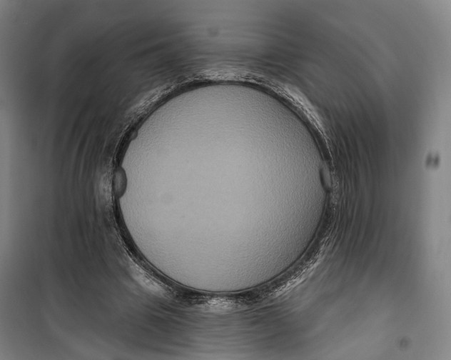 X0000099560441200806061543