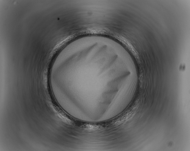 X0000099560442200806061543