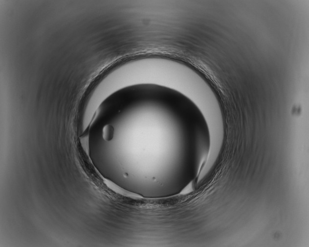 X0000099560444200806061543