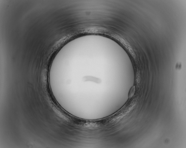 X0000099560445200806061543