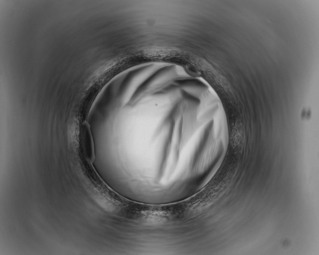 X0000099560448200806061543