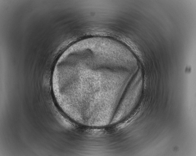 X0000099560449200806061543