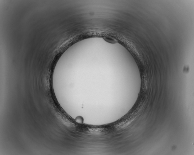 X0000099560450200806061543