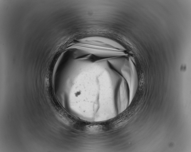 X0000099560452200806061543