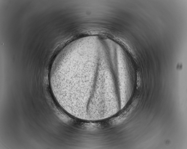 X0000099560453200806061543