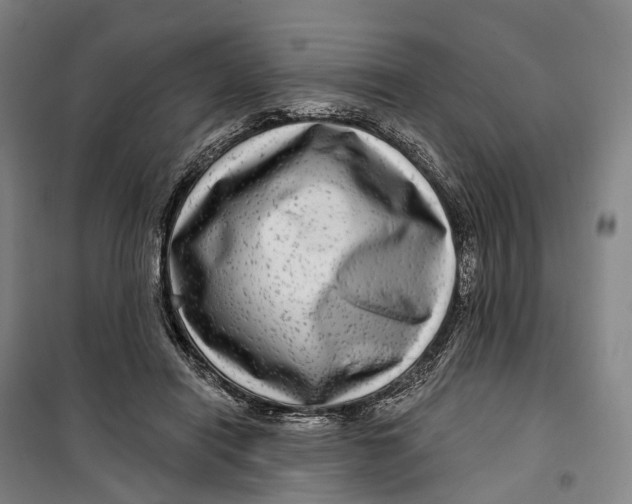 X0000099560454200806061544