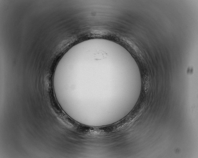 X0000099560455200806061544