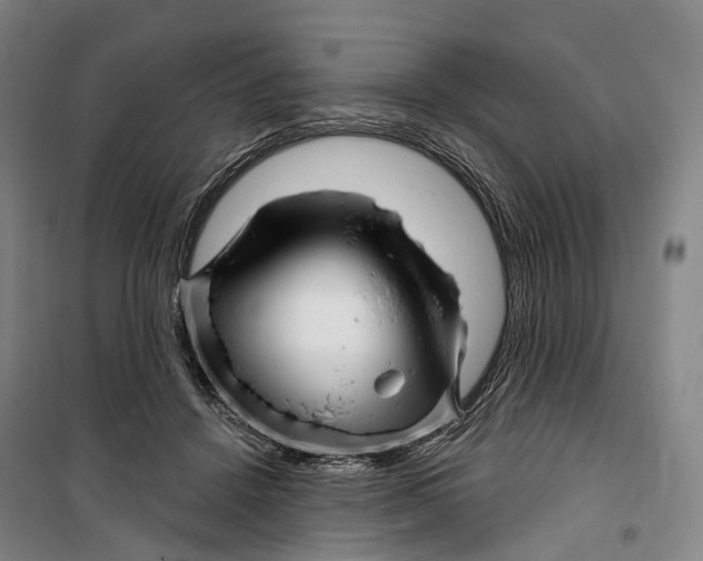 X0000099560456200806061544