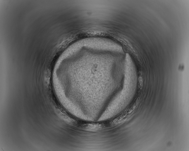 X0000099560458200806061544