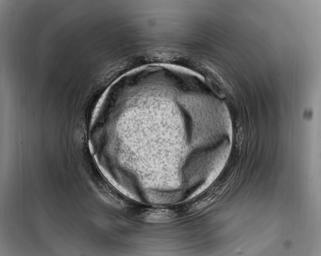 X0000099560459200806061544