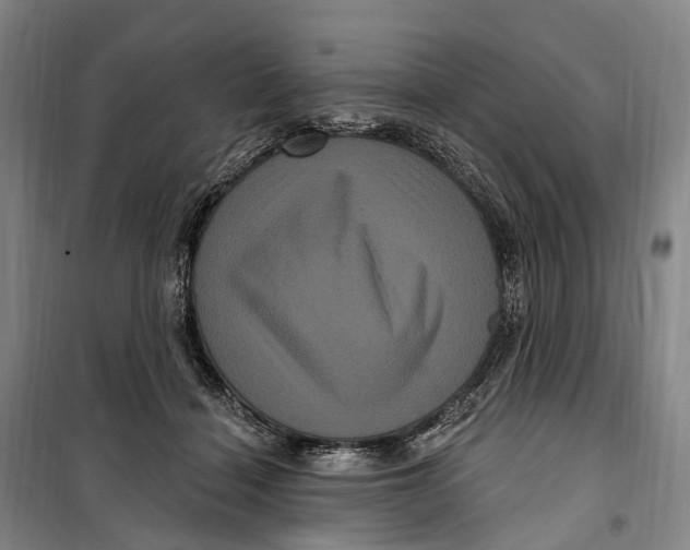 X0000099560460200806061544