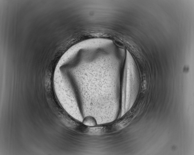 X0000099560461200806061544