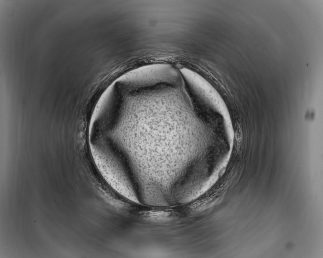 X0000099560462200806061544