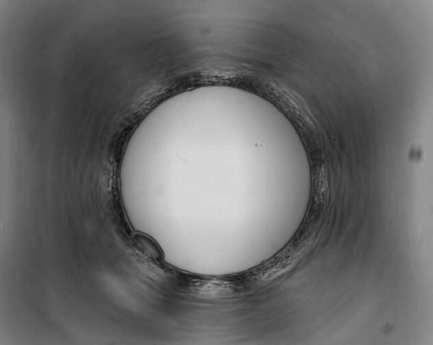 X0000099560463200806061544