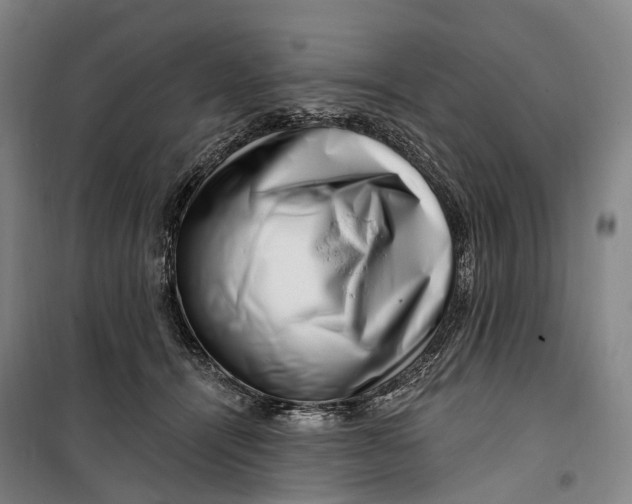 X0000099560464200806061544