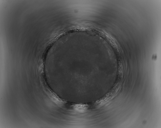 X0000099560465200806061544