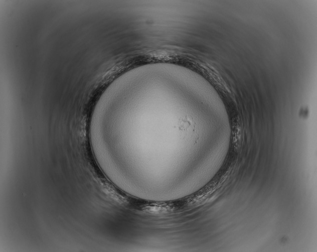 X0000099560466200806061544