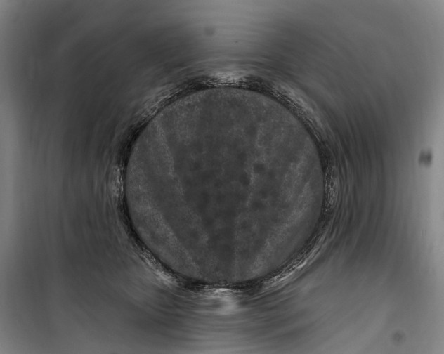 X0000099560467200806061544