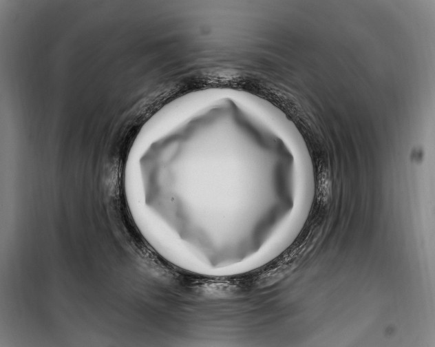 X0000099560468200806061544