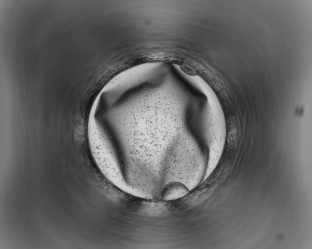 X0000099560469200806061544