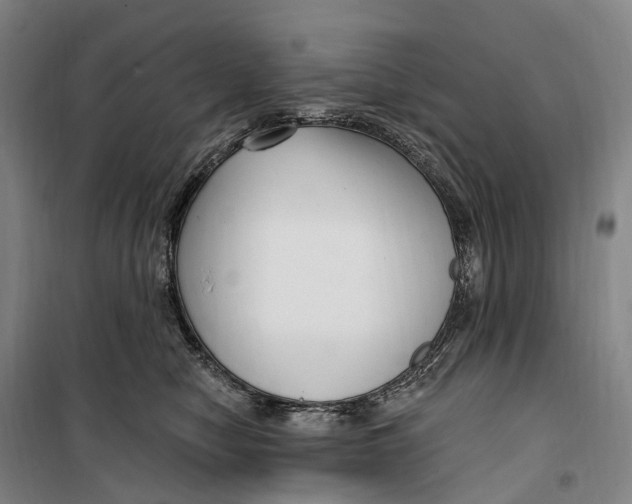 X0000099560470200806061544