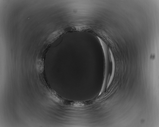 X0000099560471200806061544