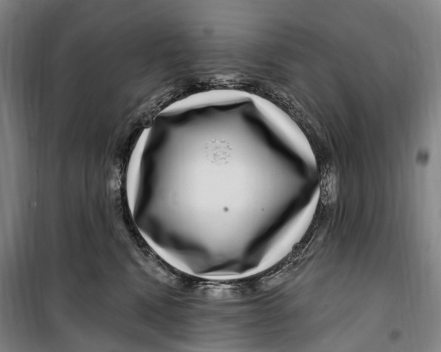 X0000099560472200806061544