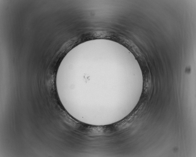 X0000099560473200806061544