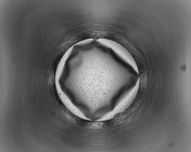 X0000099560474200806061544