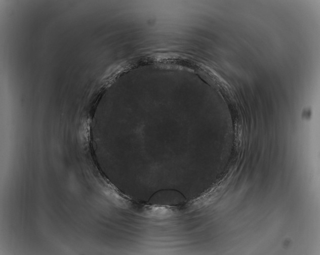 X0000099560475200806061544