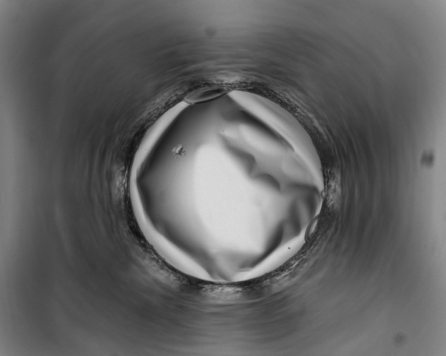 X0000099560476200806061544