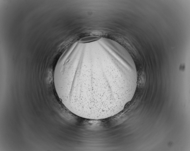 X0000099560478200806061544