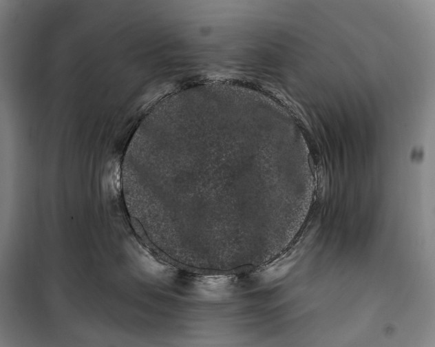 X0000099560479200806061544