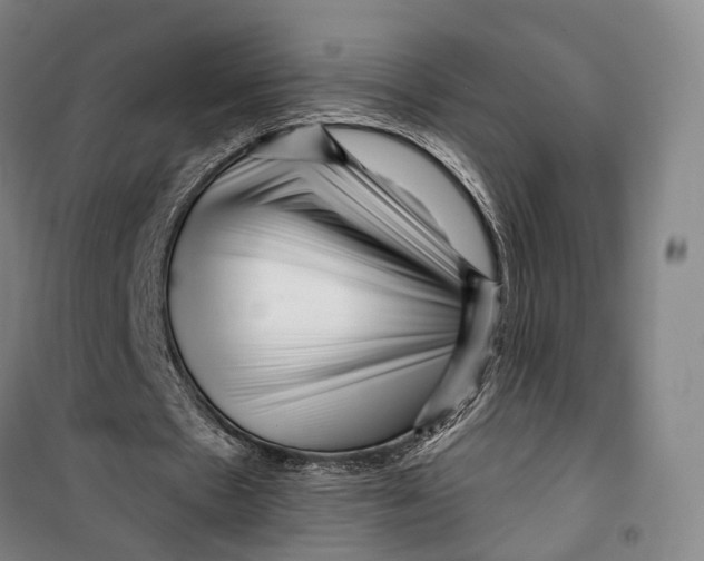 X0000099560481200806061543