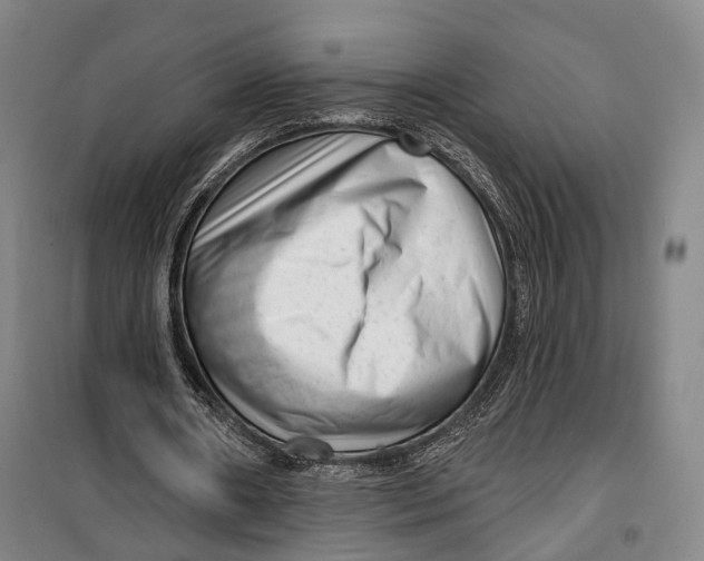 X0000099560482200806061543