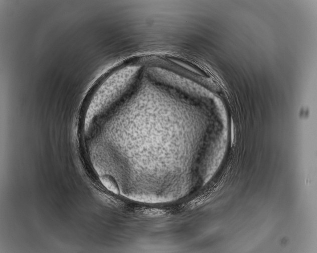 X0000099560483200806061543