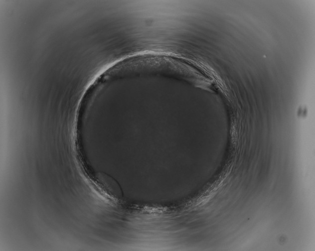 X0000099560484200806061543