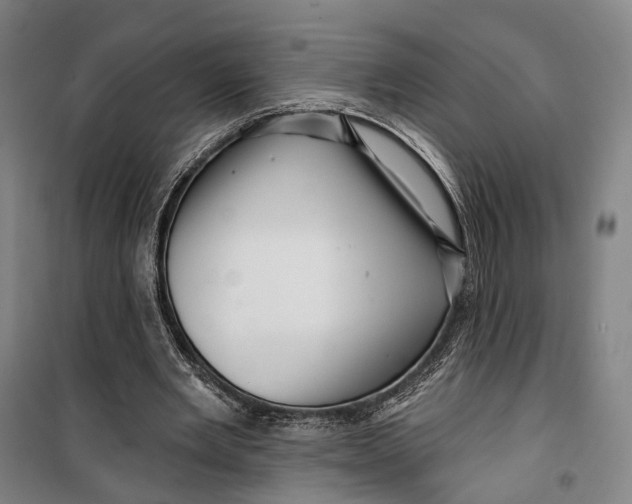 X0000099560485200806061543