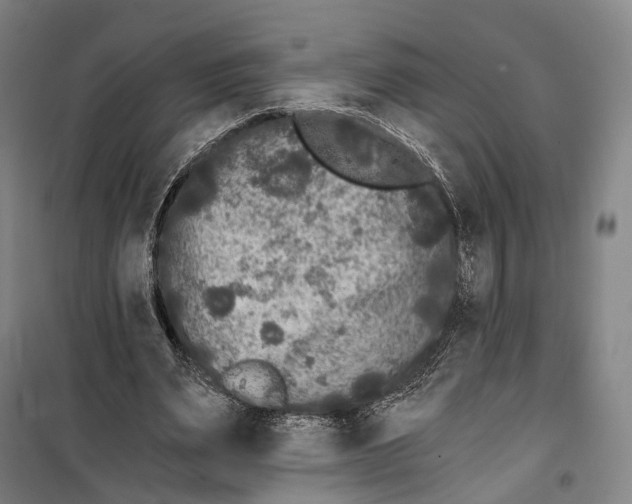 X0000099560487200806061543