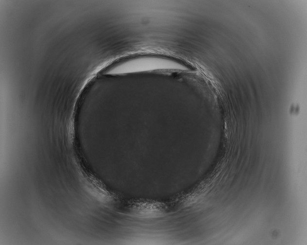 X0000099560488200806061543