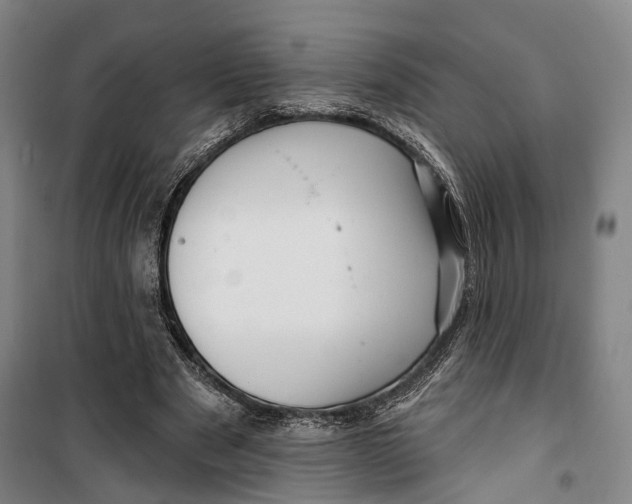 X0000099560489200806061543