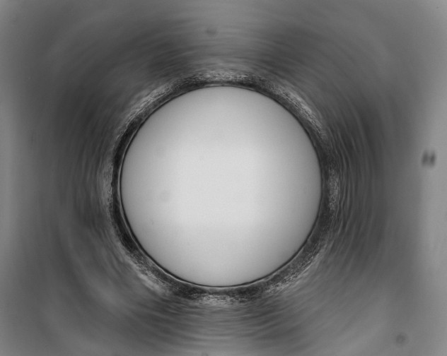 X0000099560490200806061543