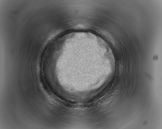 X0000099560491200806061543