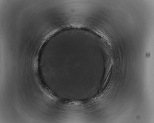 X0000099560492200806061543