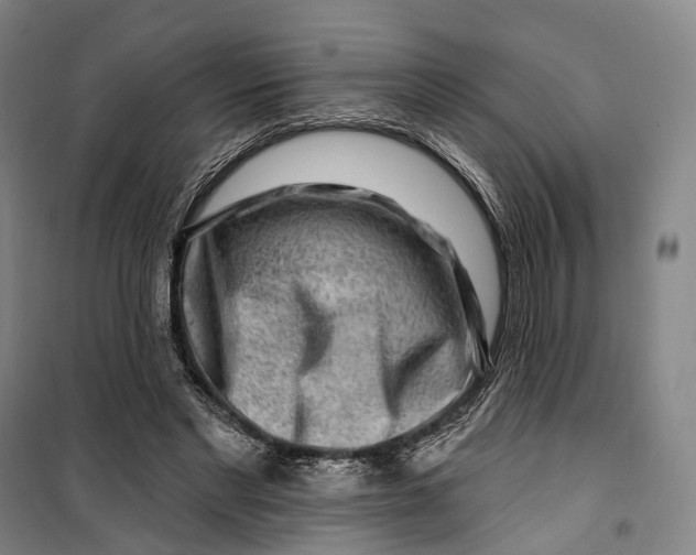 X0000099560493200806061543