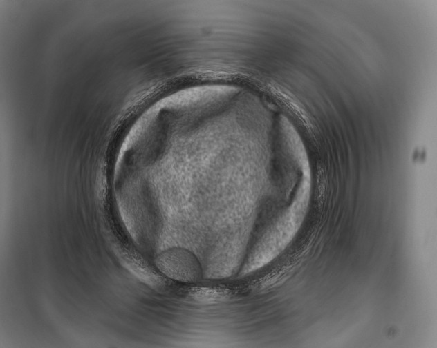 X0000099560494200806061543