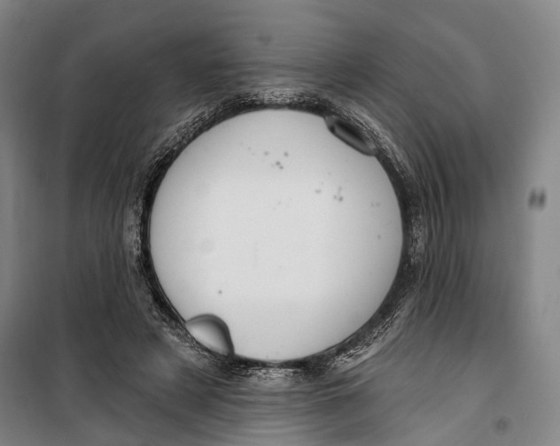 X0000099560497200806061543