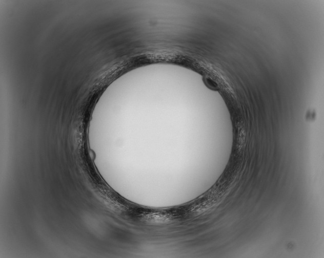 X0000099560498200806061543